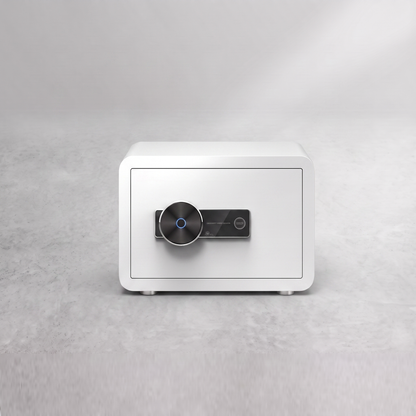 SafeGuard Mini - Biometric Safe