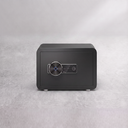 SafeGuard Mini - Biometric Safe