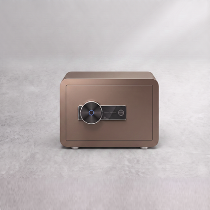 SafeGuard Mini - Biometric Safe